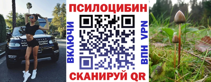 Галлюциногенные грибы ЛСД  Калининец 