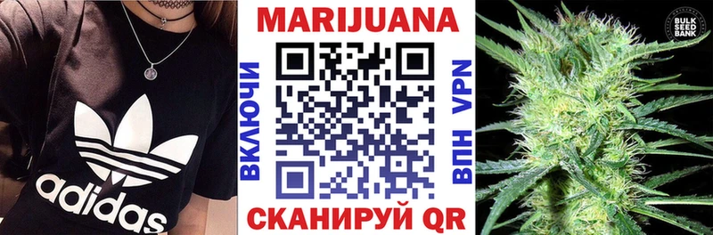 дарнет шоп  Калининец  Бошки марихуана сатива 